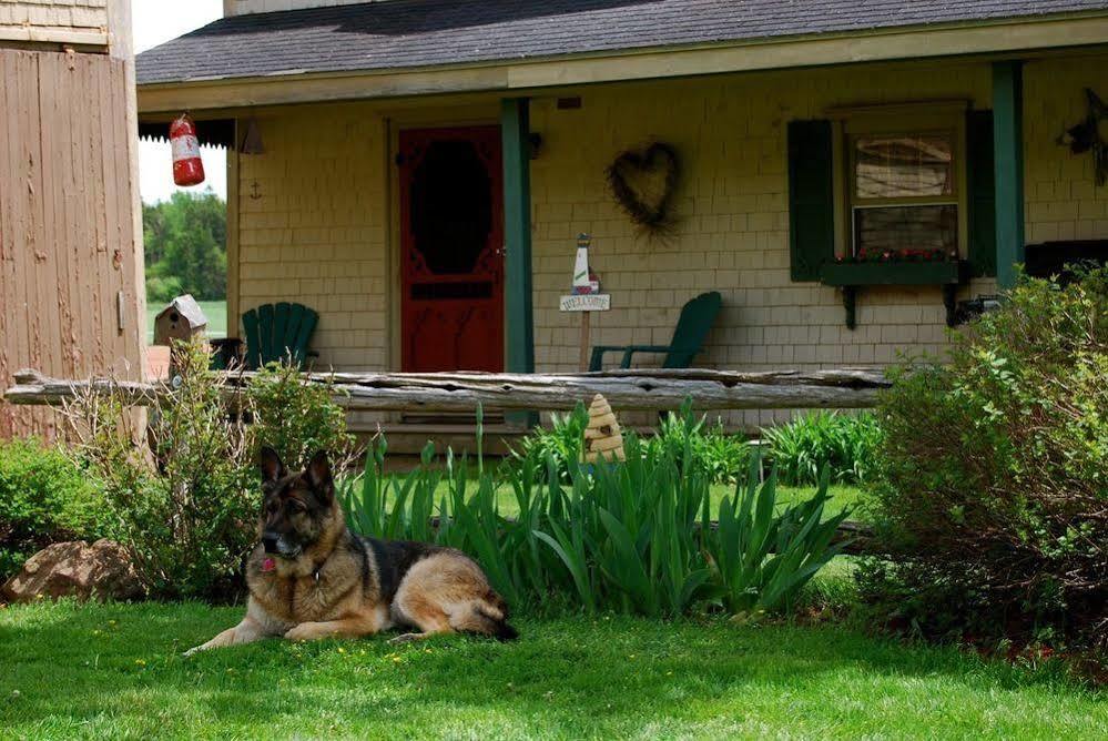 Bugaboo Cottages Bedeque Exterior foto